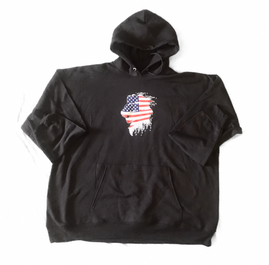 Pullover American Flag Lion Hooded Sweatshirt